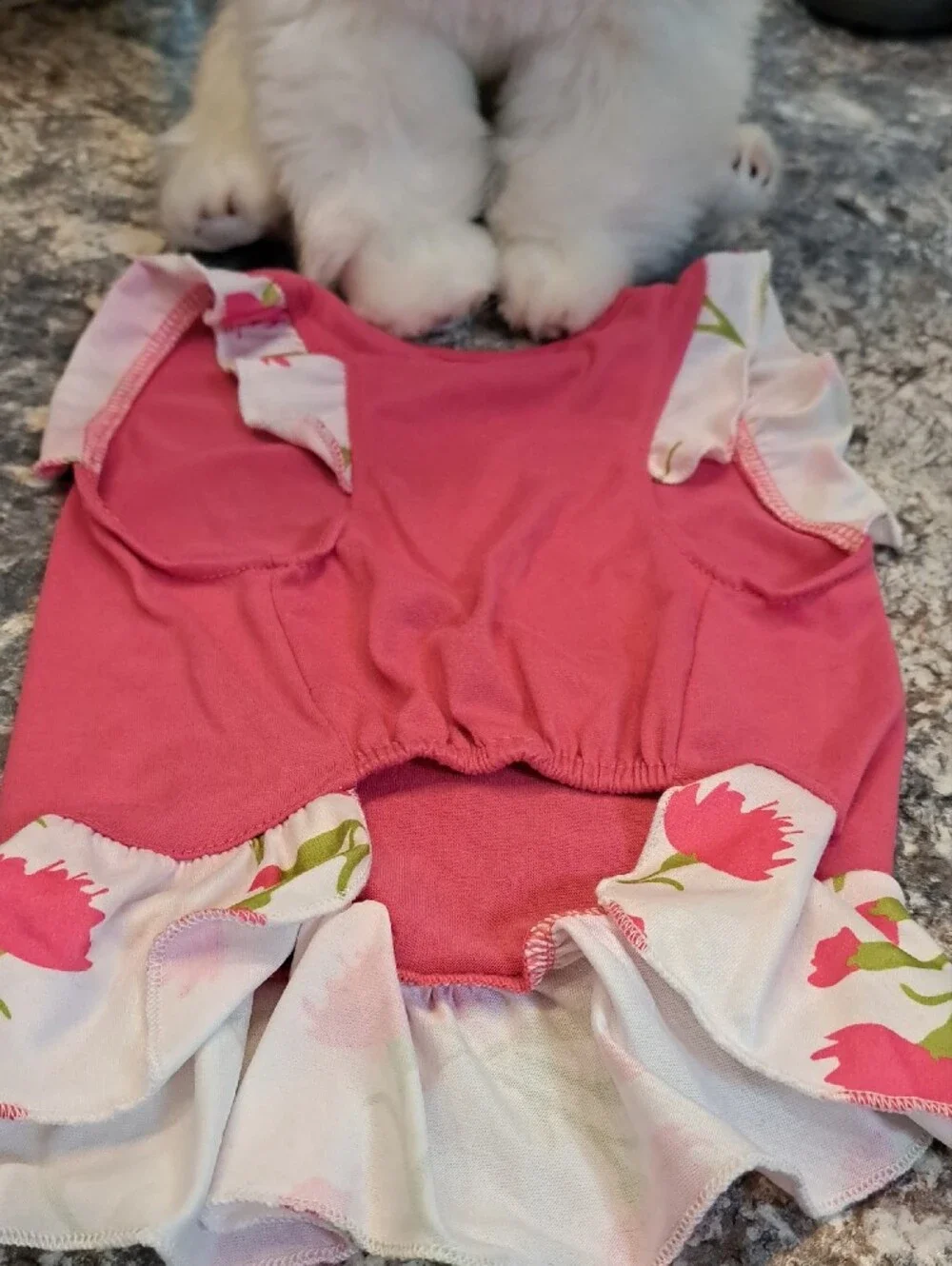 DOGS Colorful Ruffle Dresses Set - Red, Pink, Green & Yellow